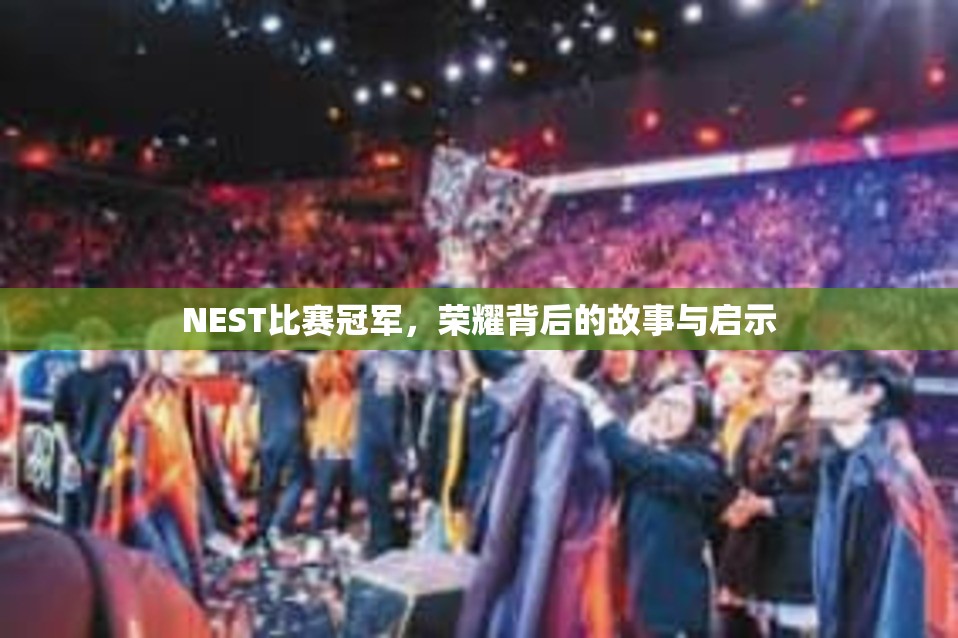 NEST比赛冠军，荣耀背后的故事与启示