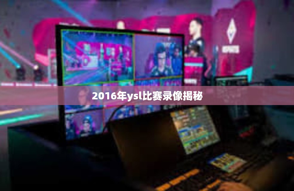 2016年ysl比赛录像揭秘